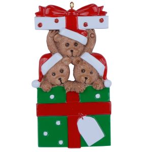 Maxora Bear Gift Box Family Personalized Ornament of 3