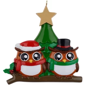 Maxora Personalized Christmas Ornament Owl Family of 2