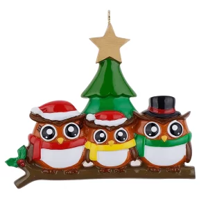 Maxora Personalized Christmas Ornament Owl Family of 3