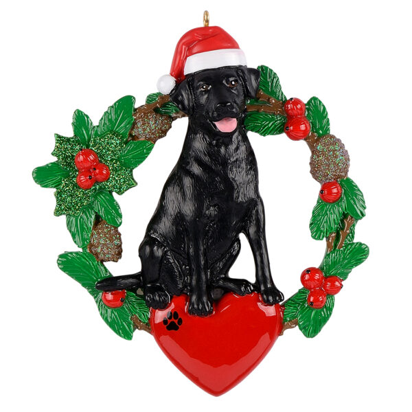 Maxora Labrador/Black