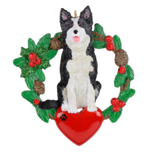 Maxora Border Collie