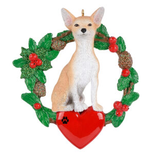 Maxora Chihuahua