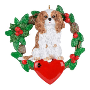 Maxora King Charles Spaniel